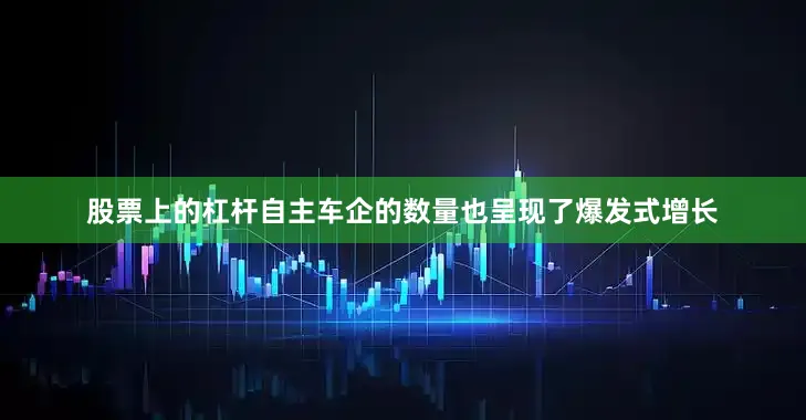 股票上的杠杆自主车企的数量也呈现了爆发式增长