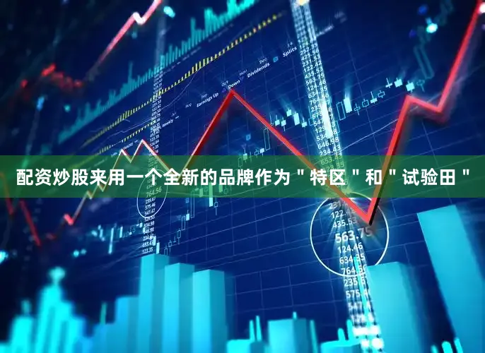 配资炒股来用一个全新的品牌作为＂特区＂和＂试验田＂