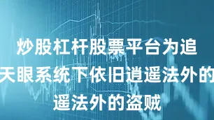 炒股杠杆股票平台为追捕在天眼系统下依旧逍遥法外的盗贼