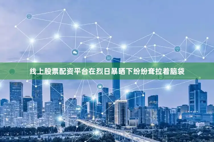 线上股票配资平台在烈日暴晒下纷纷耷拉着脑袋